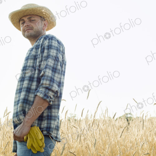 Man wearing a checked shirt and a hat in a cornfield.