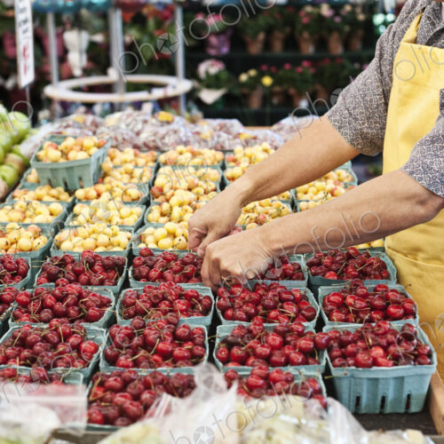 Man wearing apron standing at stall with punnets of fresh cherries at a fruit and… Man wearing apron standing at stall with punnets of fresh cherries at a fruit and…