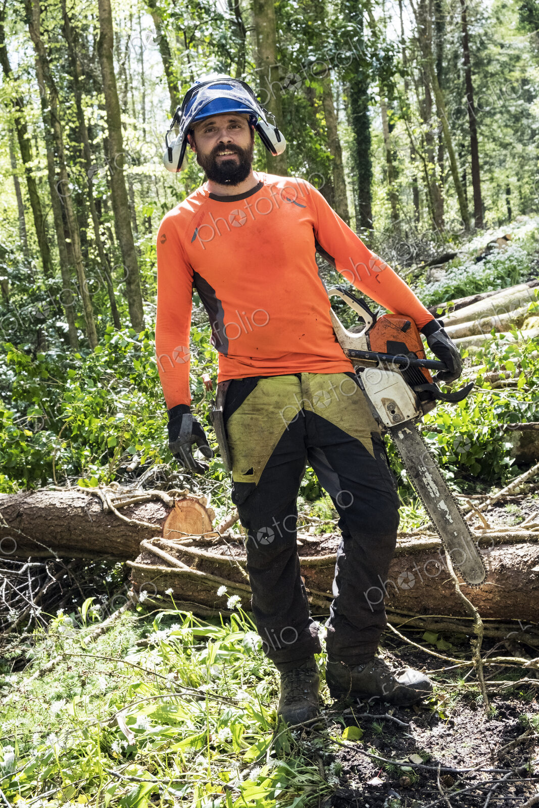 Man wearing bright orange top clearing part of forest. Cutting tree trunk with chain saw.