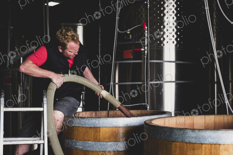 Man working at a winery, holding hose, pumping wine into a large oak barrel.