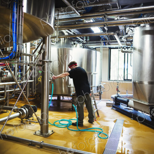 Man working in a brewery adjusting and checking the machinery which transfers the… Man working in a brewery adjusting and checking the machinery which transfers the…