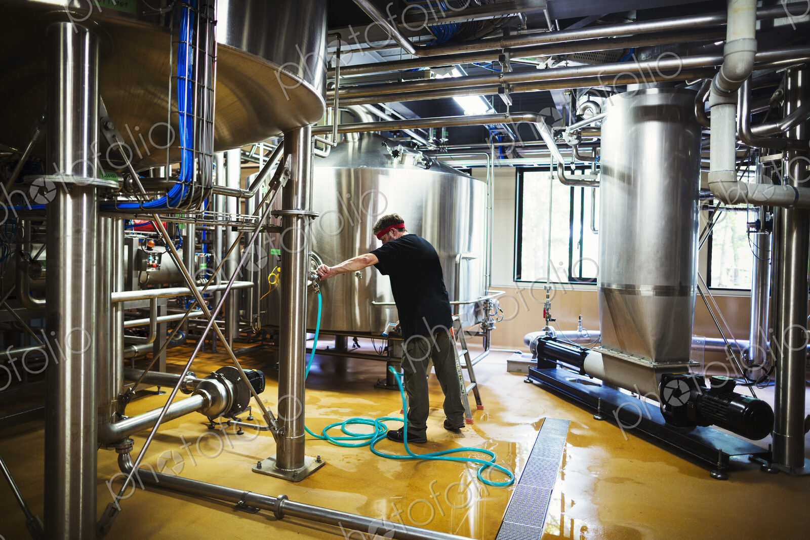 Man working in a brewery adjusting and checking the machinery which transfers the…