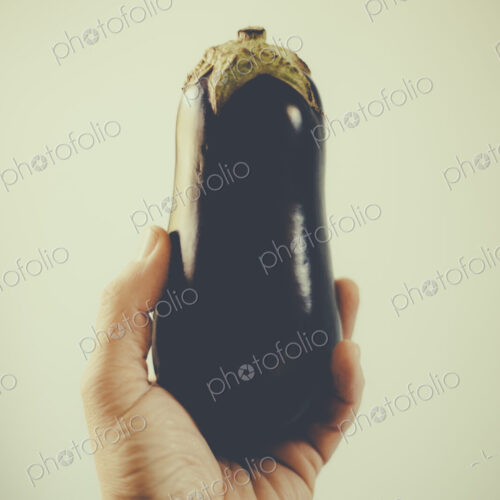 Man's hand holding organic eggplant. Man's hand holding organic eggplant.