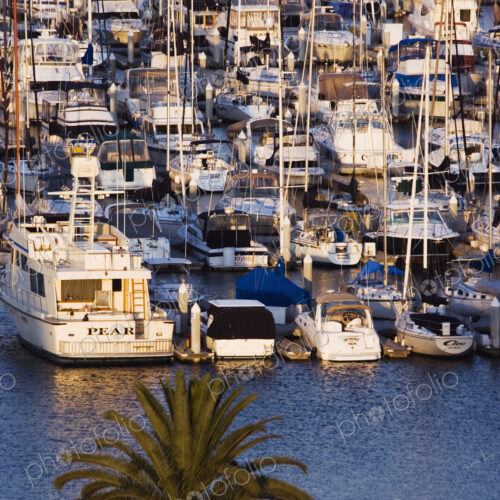 Marina Marina