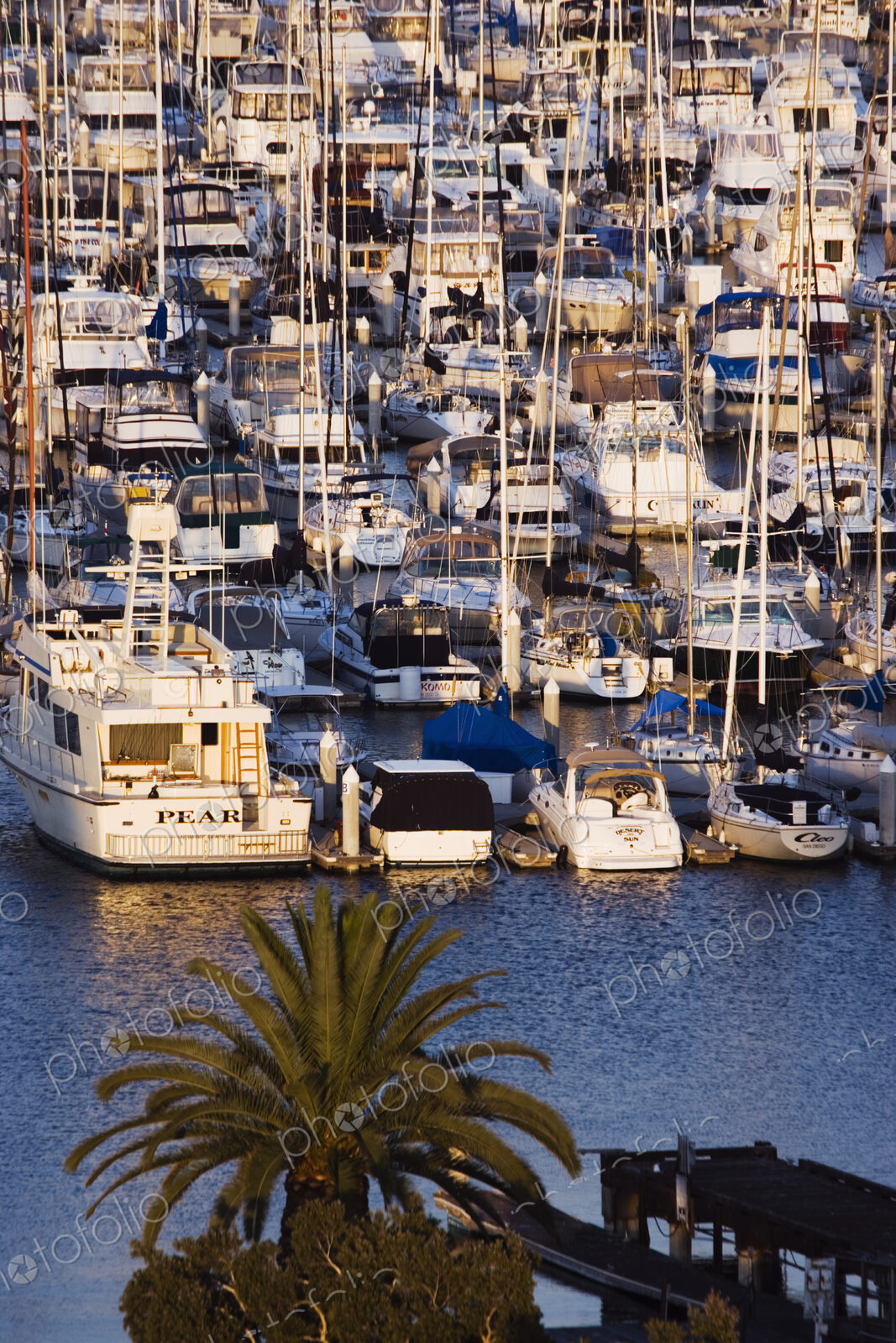 Marina
