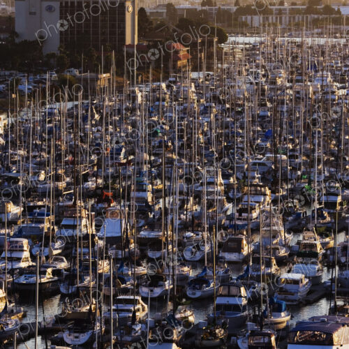 Marina Marina