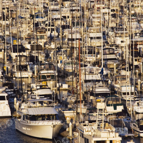 Marina Marina