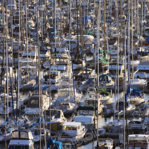 Marina Marina