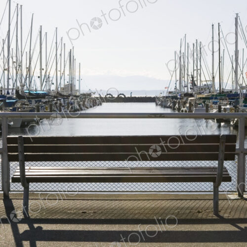 Marina Bench Marina Bench
