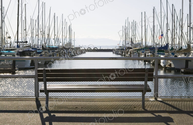 Marina Bench