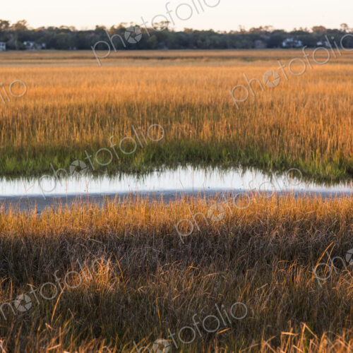 Marsh, St. Simon's Island, Georgia Marsh, St. Simon's Island, Georgia