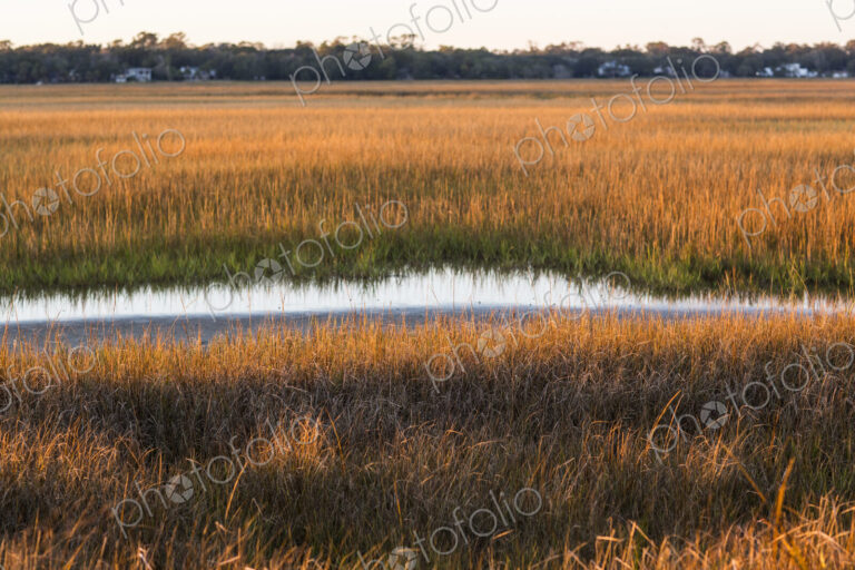 Marsh, St. Simon's Island, Georgia