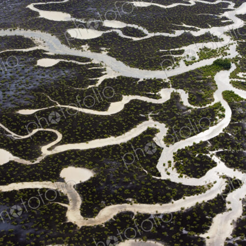 Marshes viewed from the air on the Turks and Caicos Islands. Water channels. Marshes viewed from the air on the Turks and Caicos Islands. Water channels.
