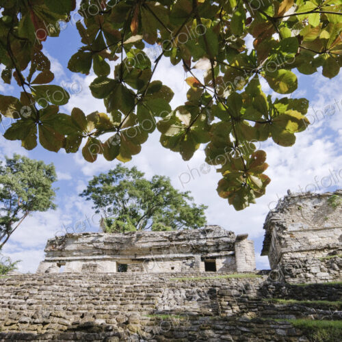 Mayan Ruins