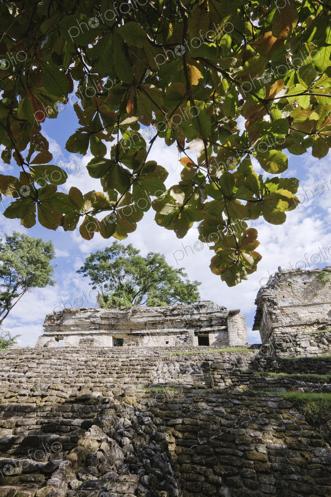 Mayan Ruins