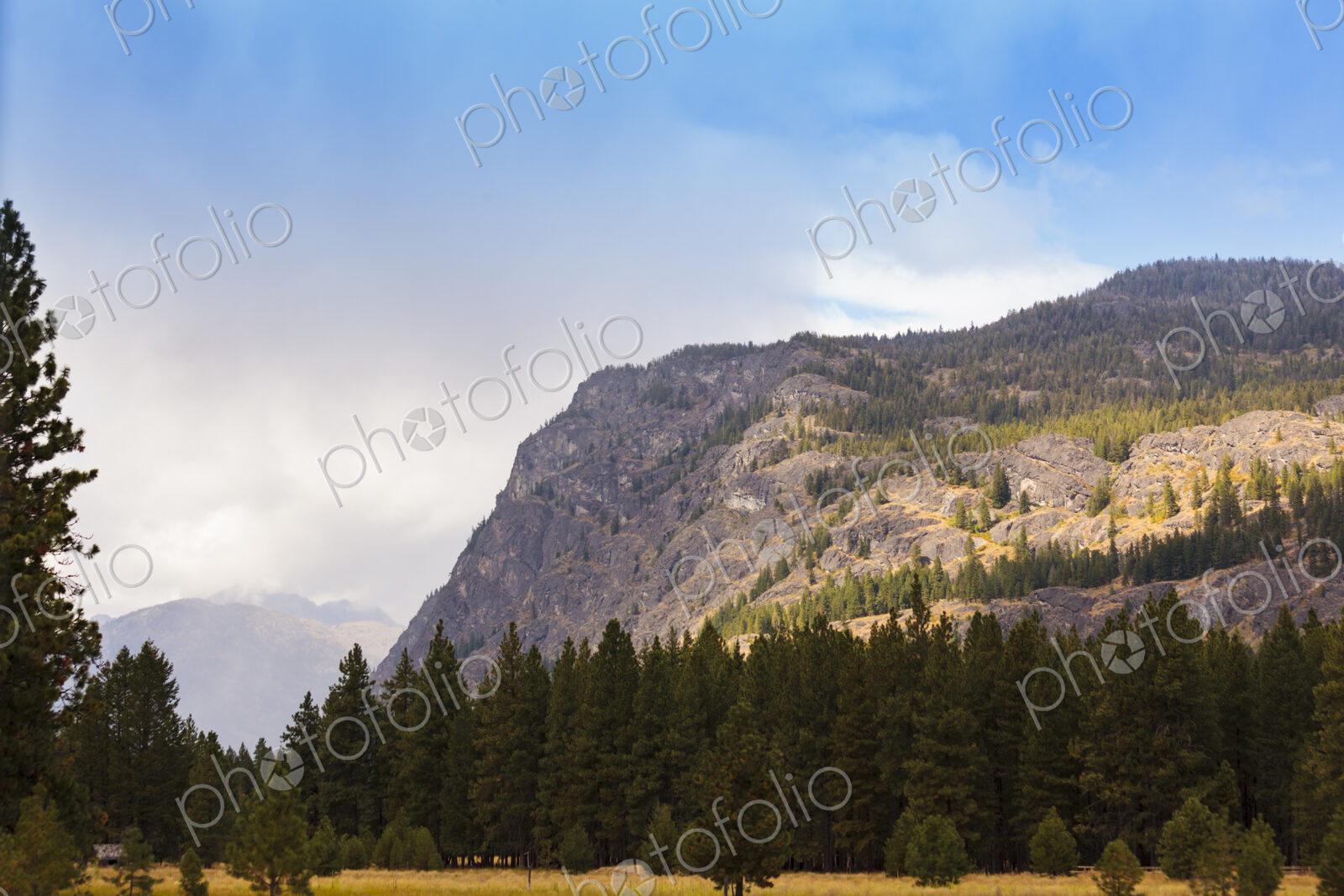 Meathow Valley, WA USA