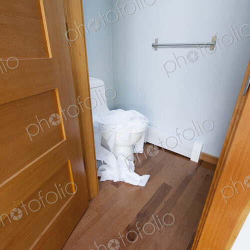 Mess of Toilet Paper in a Small Bathroom Mess of Toilet Paper in a Small Bathroom