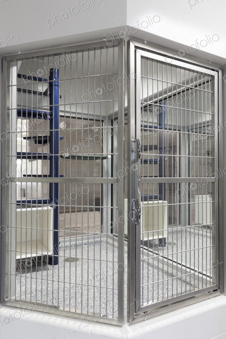 Metal doors of empty cage in animal shelter