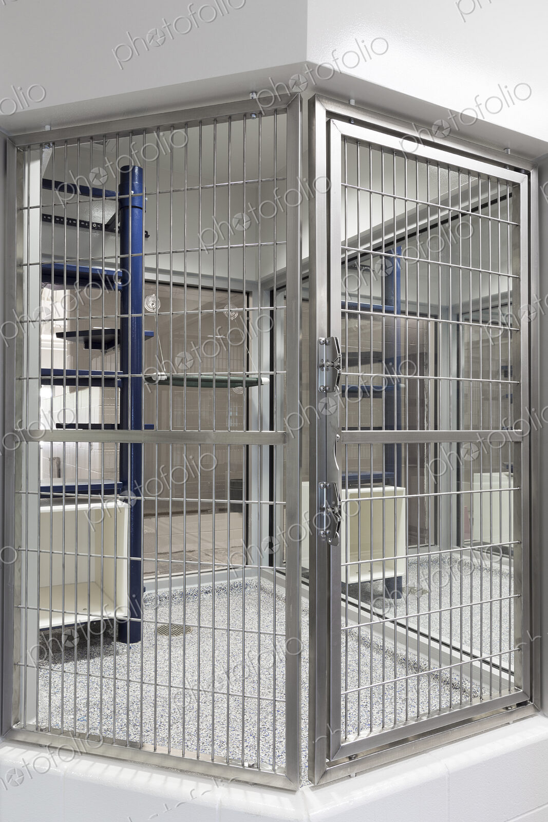 Metal doors of empty cage in animal shelter