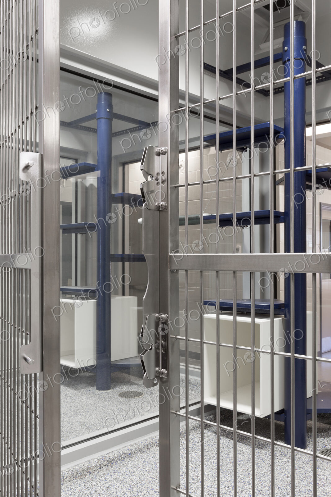 Metal doors of empty cage in animal shelter