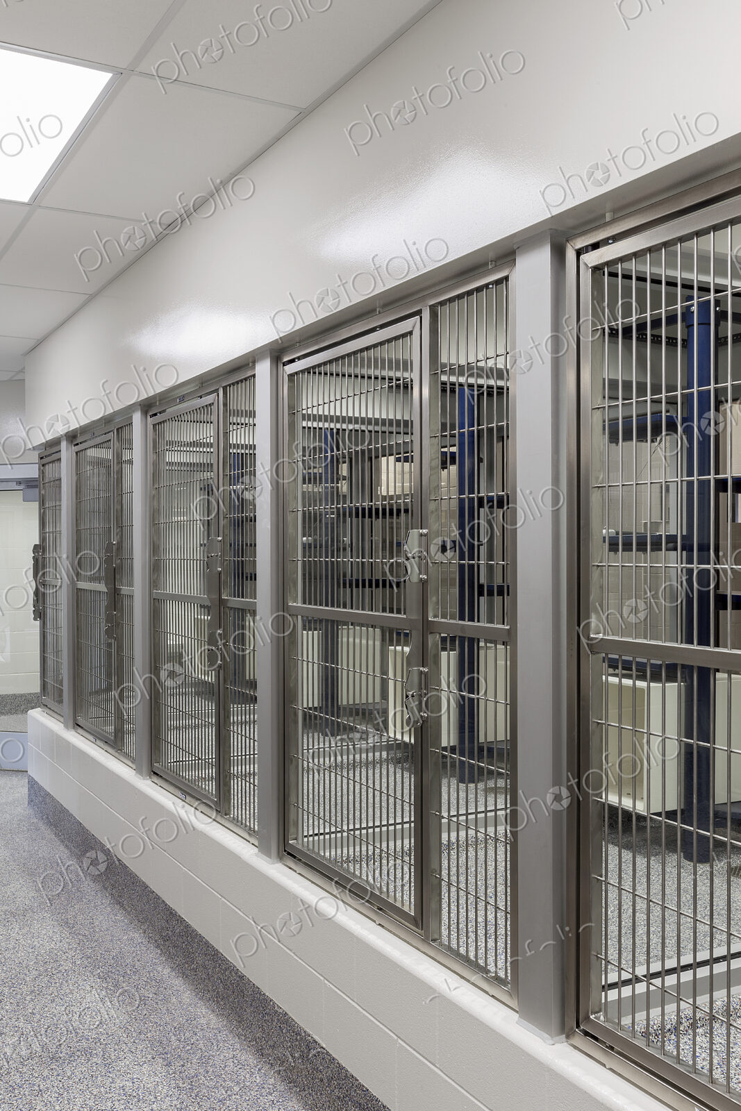 Metal doors of empty cages in animal shelter
