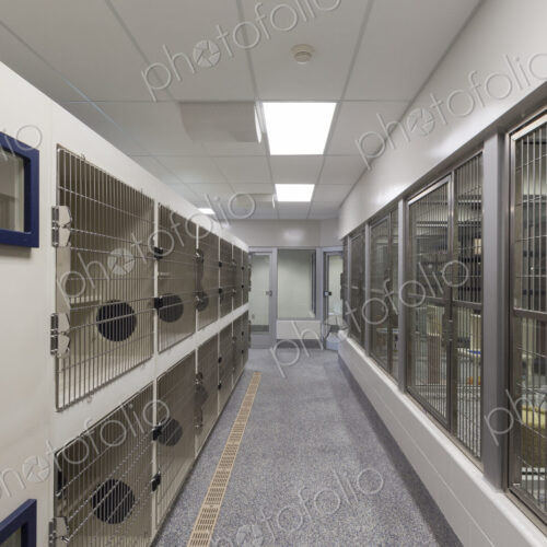 Metal doors of empty cages in animal shelter Metal doors of empty cages in animal shelter