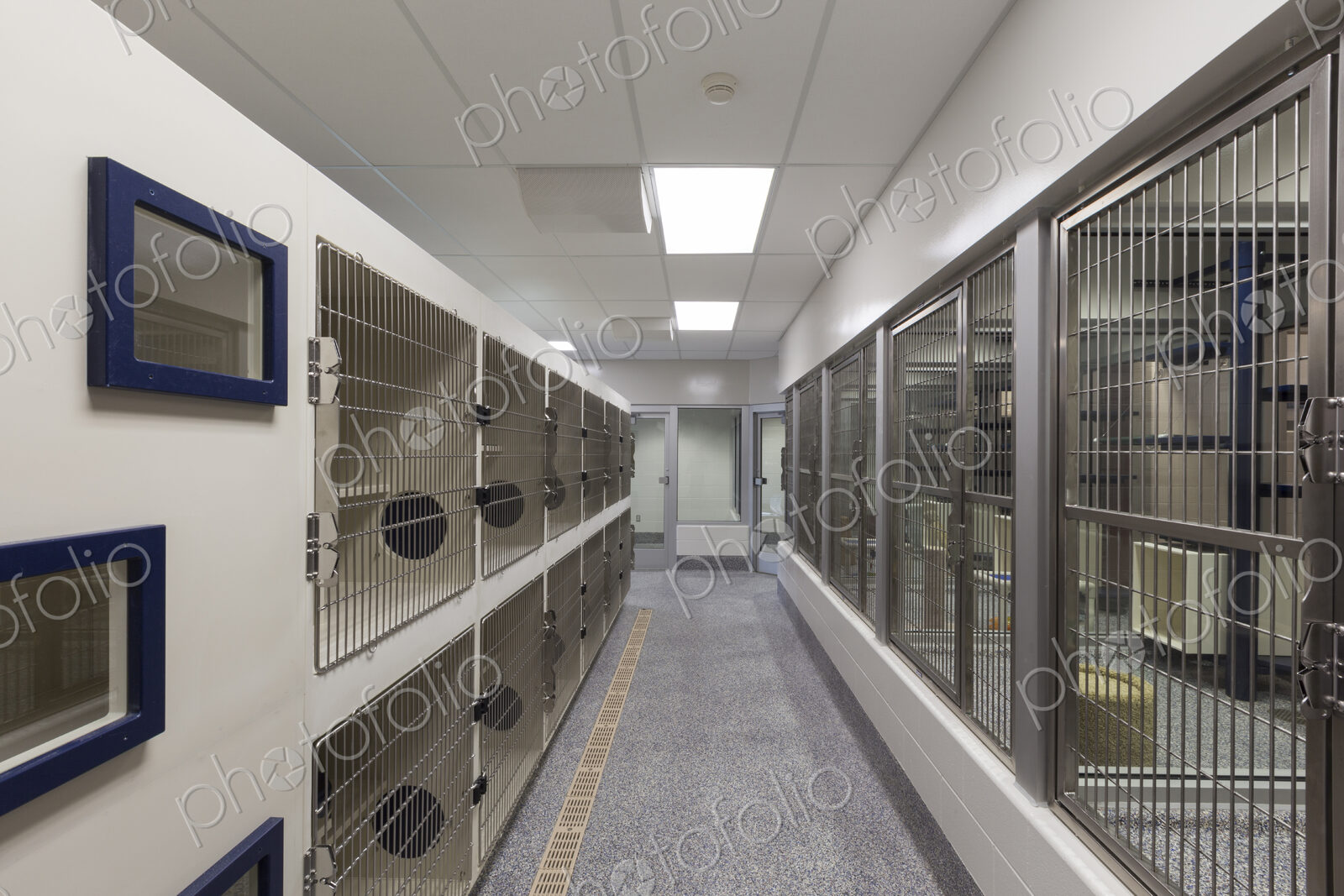 Metal doors of empty cages in animal shelter