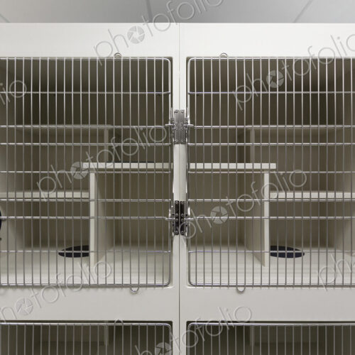 Metal doors of empty cages in animal shelter Metal doors of empty cages in animal shelter