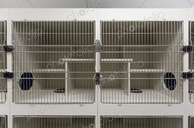Metal doors of empty cages in animal shelter