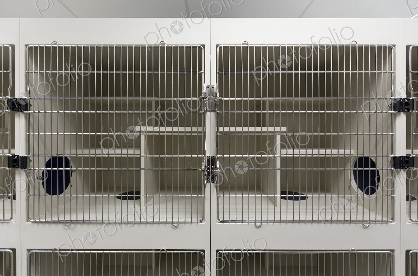 Metal doors of empty cages in animal shelter