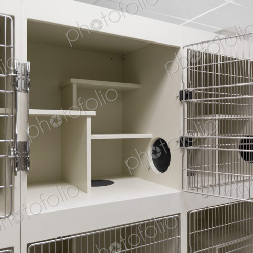 Metal doors of empty cages in animal shelter Metal doors of empty cages in animal shelter