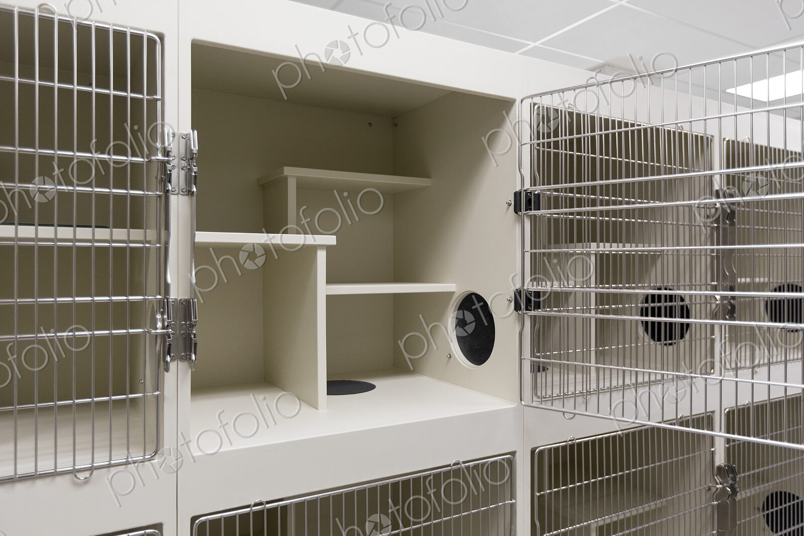 Metal doors of empty cages in animal shelter