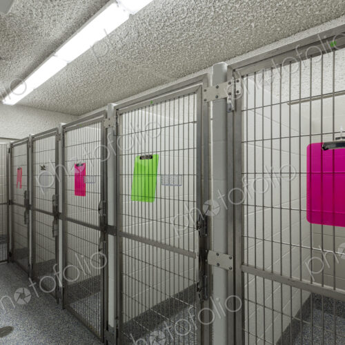 Metal doors of empty cages in animal shelter