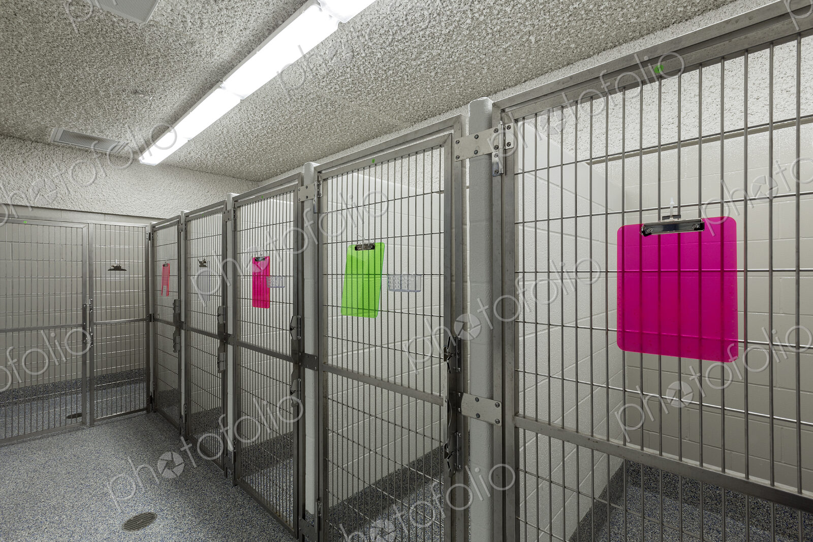 Metal doors of empty cages in animal shelter