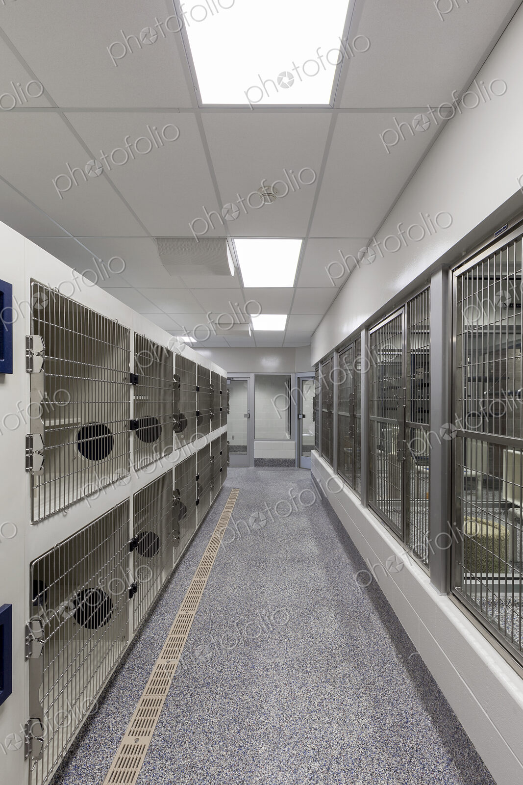 Metal doors of empty cages in empty animal shelter
