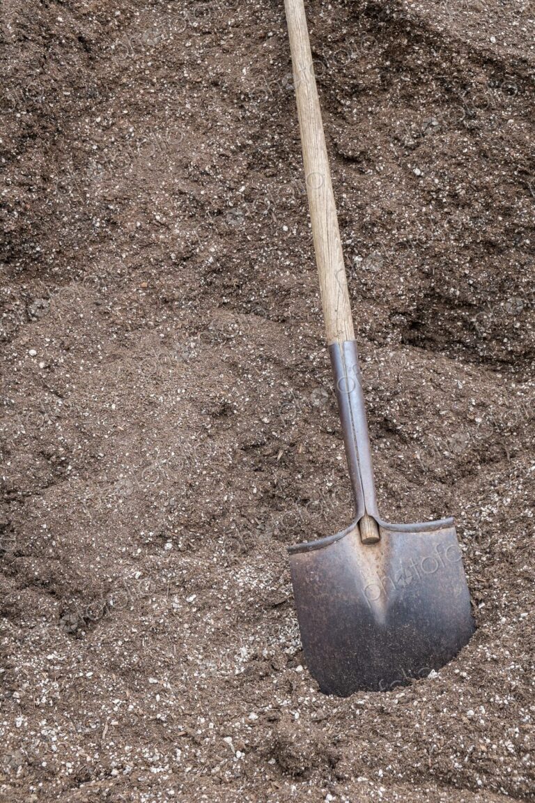 Metal shovel resting in a large pile of fertilizer at a commercial plant nursery in…