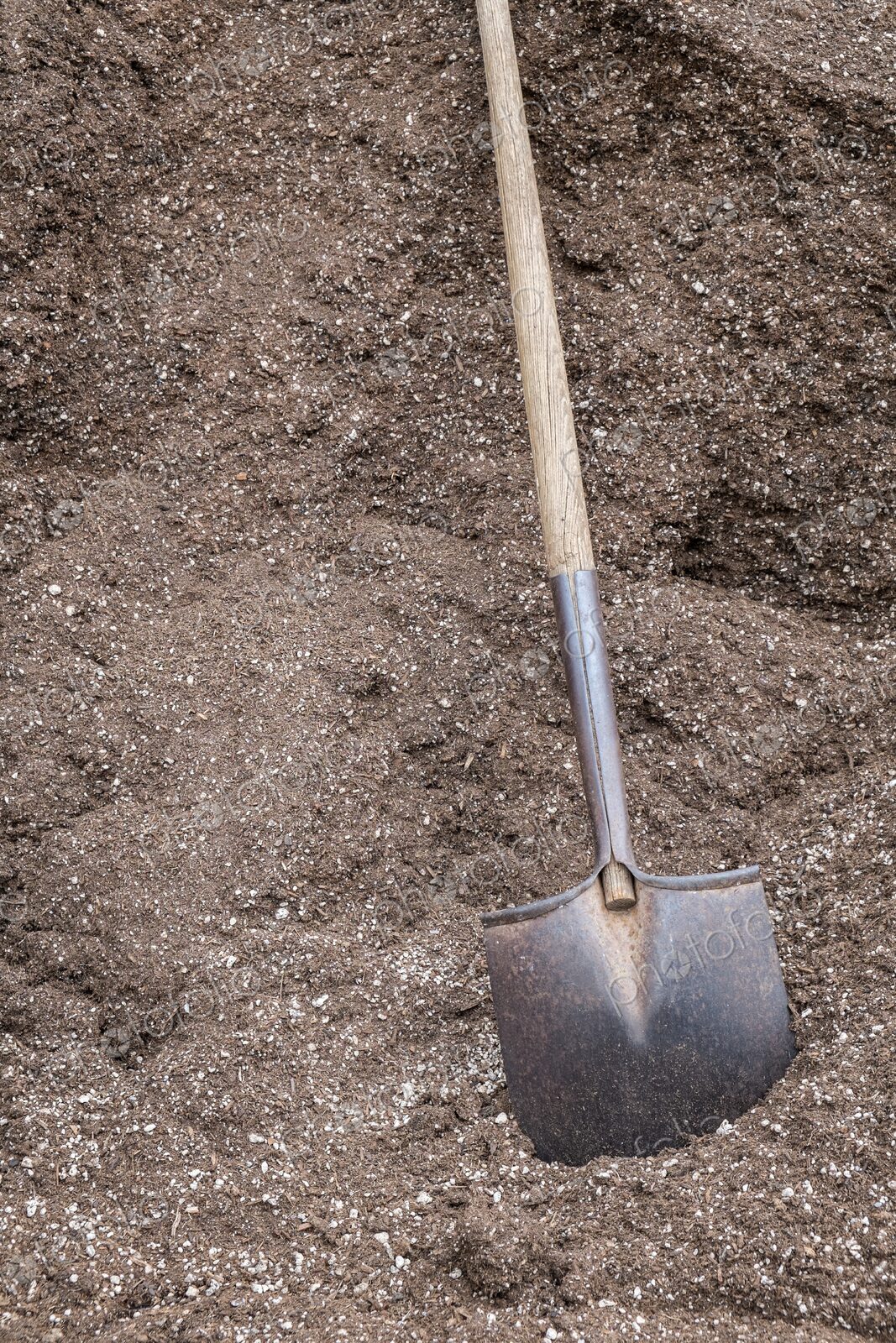 Metal shovel resting in a large pile of fertilizer at a commercial plant nursery in…