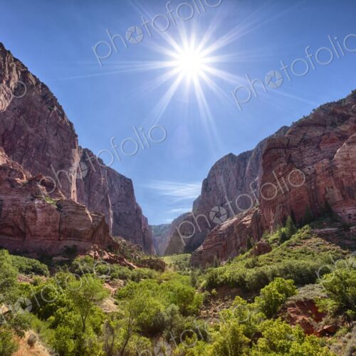 Midday sunburst over towering red rock cliffs and lush greenery in Kolob Canyon, Zion… Midday sunburst over towering red rock cliffs and lush greenery in Kolob Canyon, Zion…