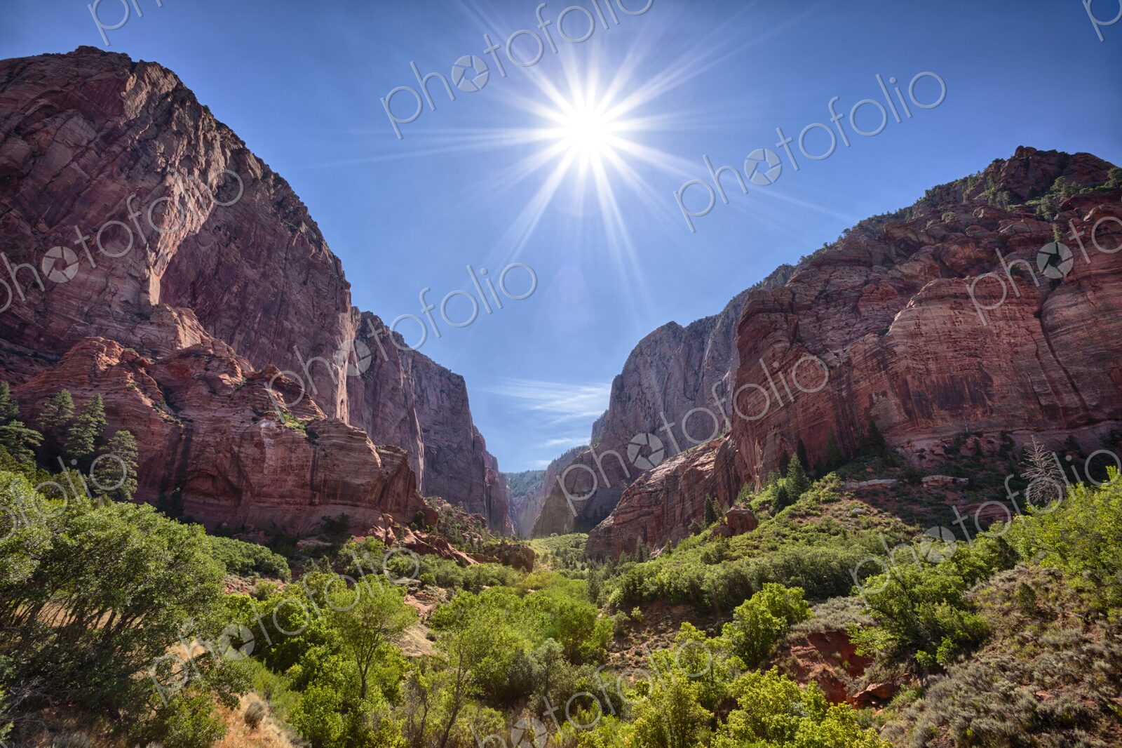 Midday sunburst over towering red rock cliffs and lush greenery in Kolob Canyon, Zion…