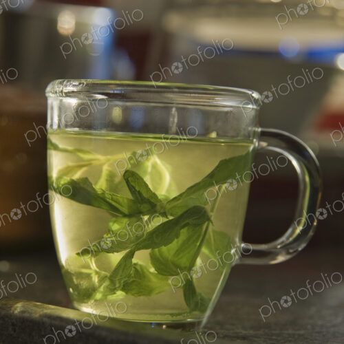 Mint Tea In A Clear Glass Cup Mint Tea In A Clear Glass Cup