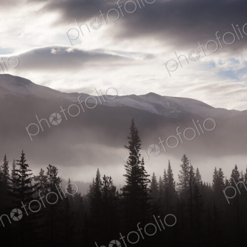 Misty conditions over the landscape and forest, Jasper National Park, Alberta, Canada Misty conditions over the landscape and forest, Jasper National Park, Alberta, Canada
