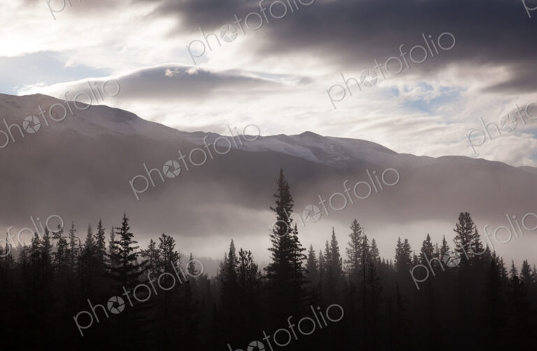 Misty conditions over the landscape and forest, Jasper National Park, Alberta, Canada
