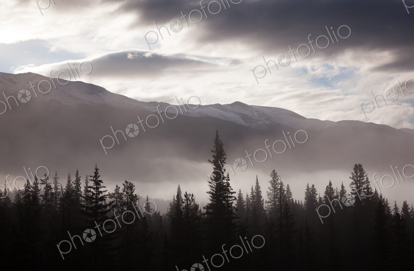 Misty conditions over the landscape and forest, Jasper National Park, Alberta, Canada