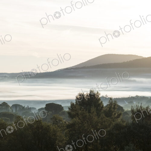 Misty landscape with trees and hills in the distance. Misty landscape with trees and hills in the distance.