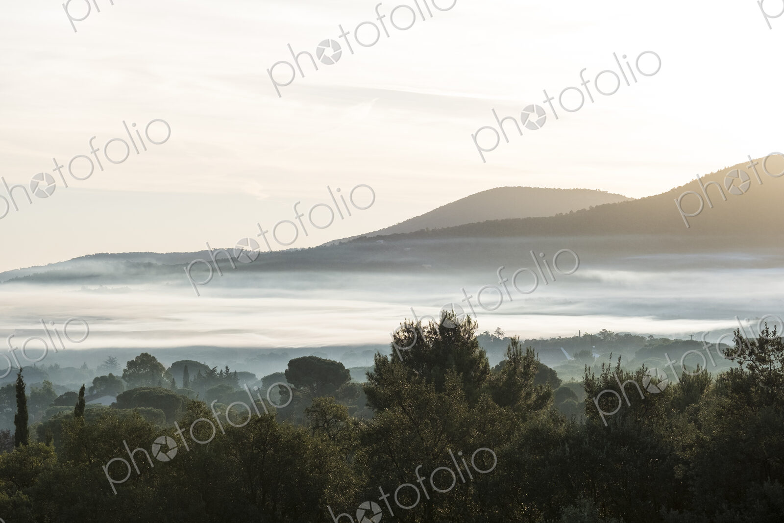 Misty landscape with trees and hills in the distance.