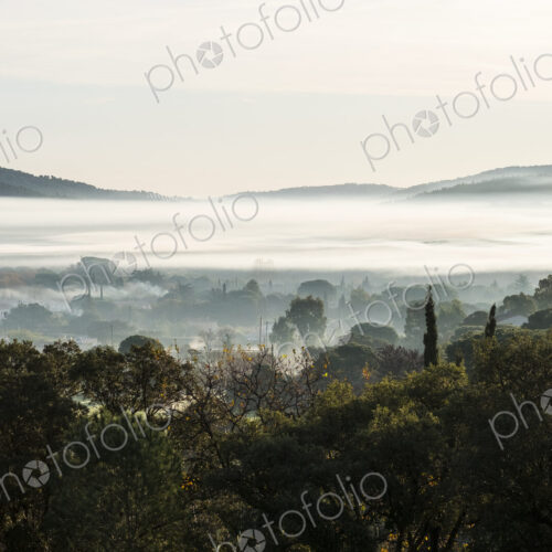 Misty landscape with trees and hills in the distance. Misty landscape with trees and hills in the distance.