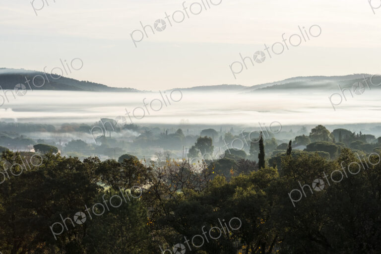 Misty landscape with trees and hills in the distance.
