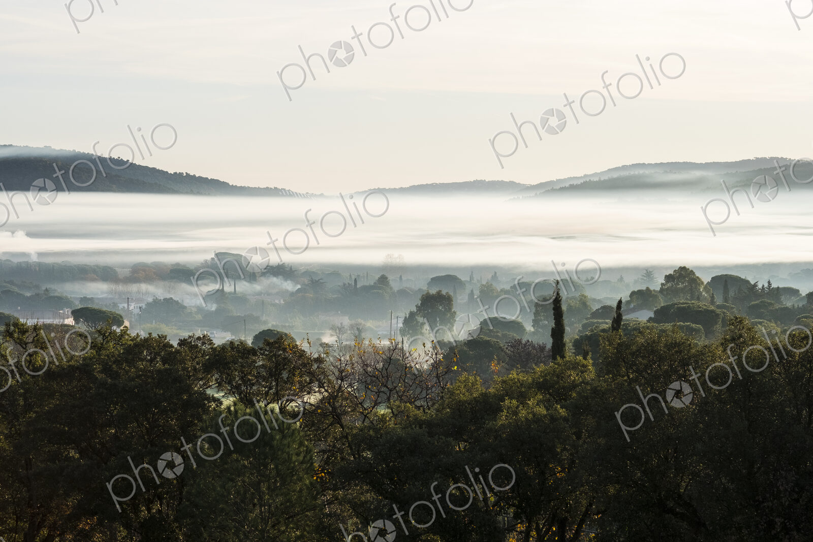 Misty landscape with trees and hills in the distance.