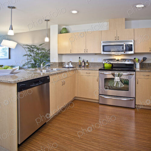 Modern Contemporary Kitchen