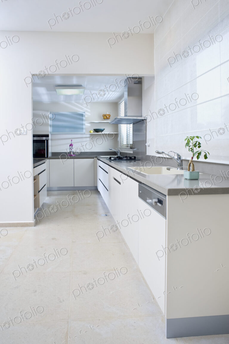Modern Kitchen